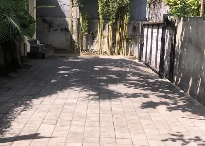 シャム スミニャック